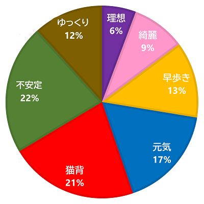 歩行姿勢タイプ統計図