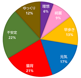 展示品：歩行姿勢改善サービス メタテクノ社員の統計図